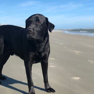 MOVING SALE!EVERYTHING MUST GOAll offers accepted